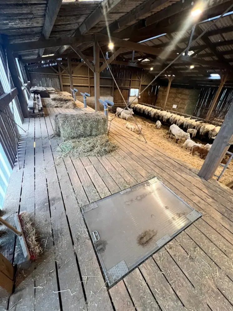<em class="placeholder">bâtiment vaches allaitantes parc à veau confort thermique</em>