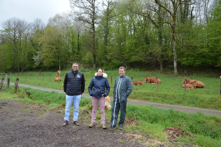 <em class="placeholder">éleveurs conseiler haute-Marne vaches limousines</em>