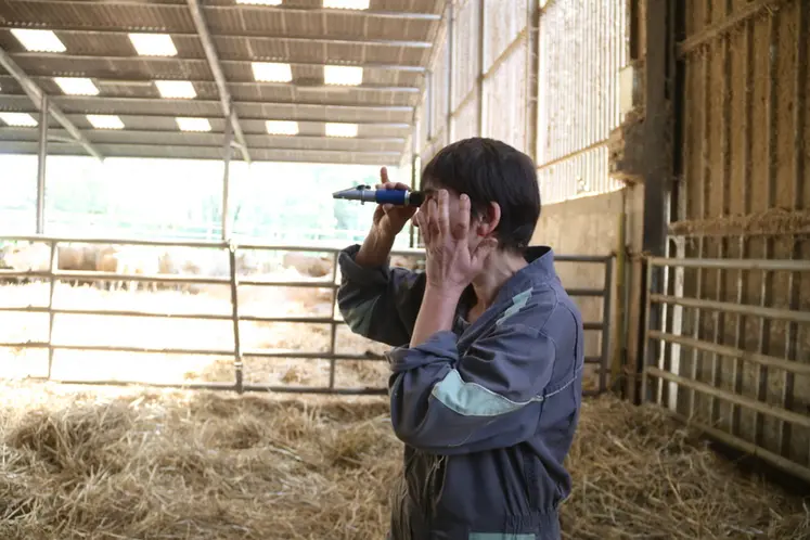 <em class="placeholder">L&#039;éleveuse bovins viande analyse le colostrum au réfractomètre, directement dans la stabulation.</em>