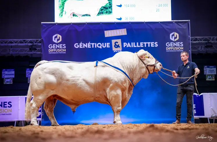 gènes diffusion Meloman génétique et paillettes