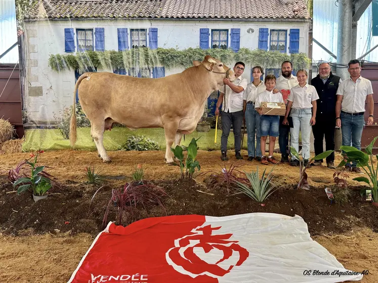 concours national blonde d'Aquitaine 2025 Lezay