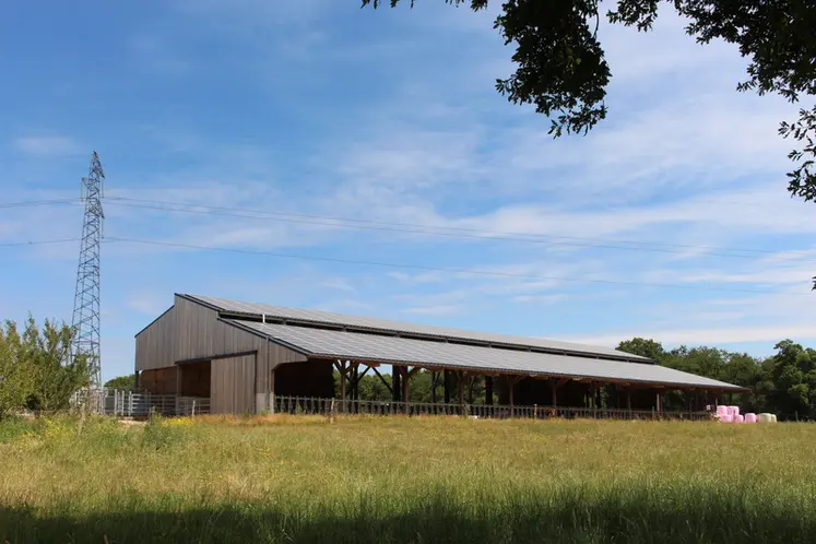 <em class="placeholder">bâtiment bovins viande panneaux photovoltaïque</em>