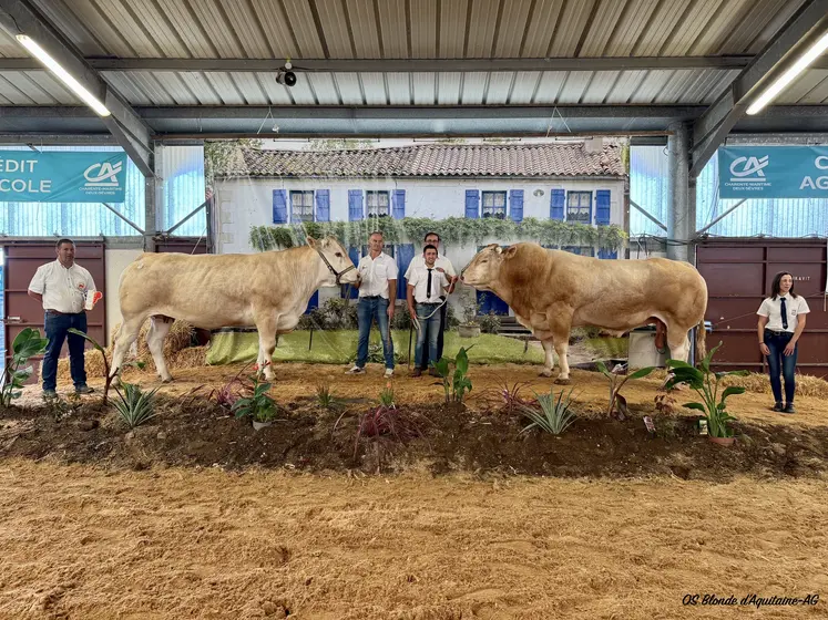 concours national blonde d'Aquitaine 2025 Lezay