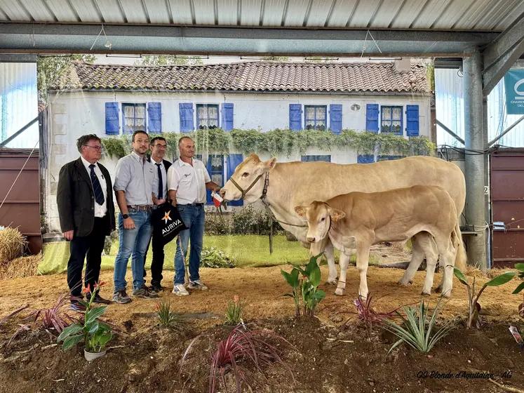 concours national blonde d'Aquitaine Lezay