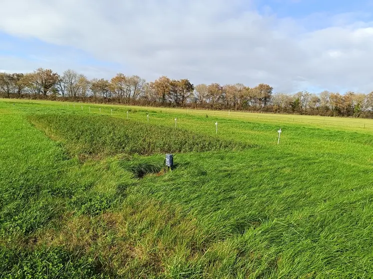 <em class="placeholder">irrigation expérimentation Arvalis fourragères prairiales luzerne fétuque élevée RGH</em>