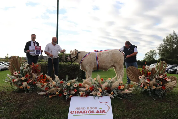 concours national des veau charolaise 2025