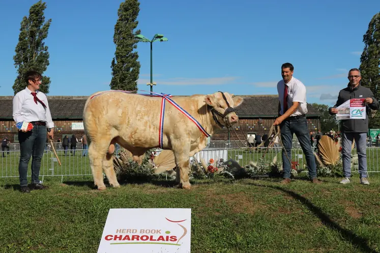 concours national veaux charolaise