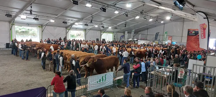 concours national limousine 2025 Baraqueville