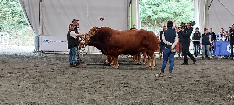 concours national limousine 2025 Baraqueville
