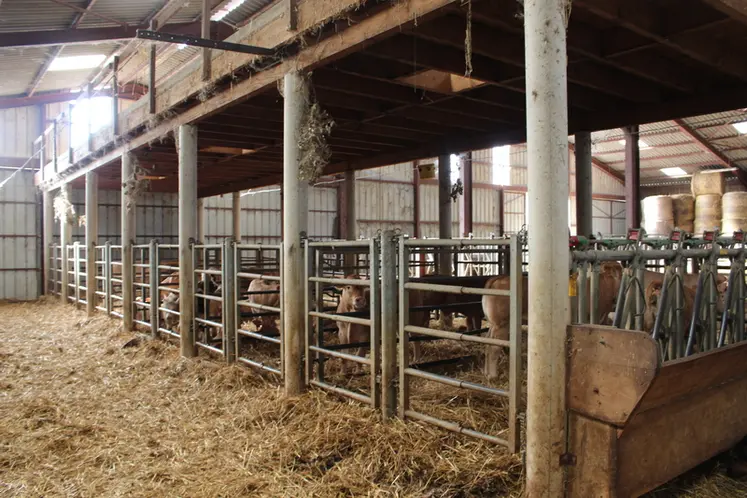 <em class="placeholder">bâtiment veaux sous la mère</em>