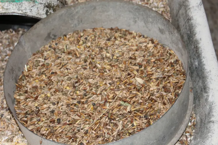 <em class="placeholder">méteil grain</em>