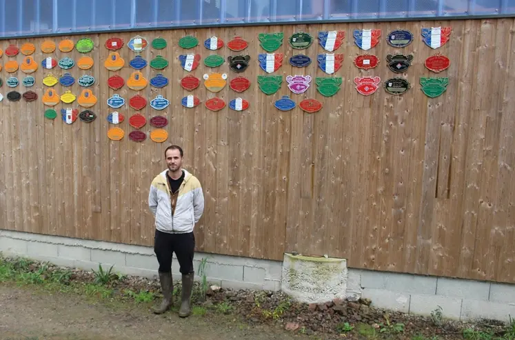 <em class="placeholder">élevage veaux sous la mère limousine Corrèze </em>