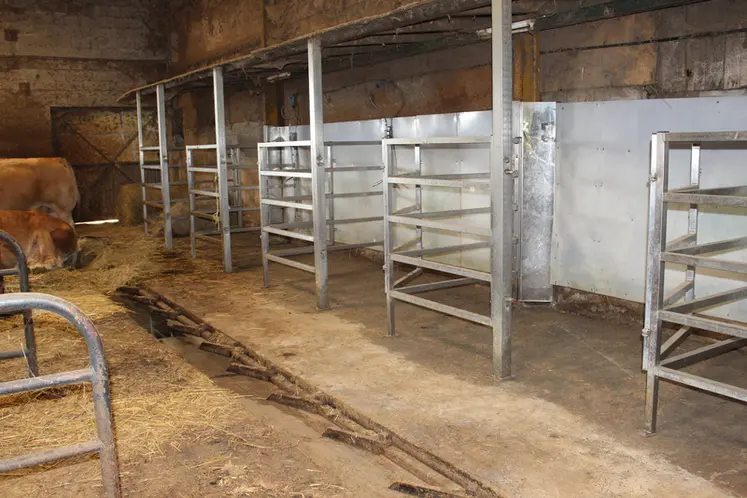 <em class="placeholder">Les éleveurs ont acheté des tubes en Inox et fabriqué eux-mêmes les cases de deux places pour les veaux sous la mère. Des abreuvoirs pipettes ont été installés. </em>