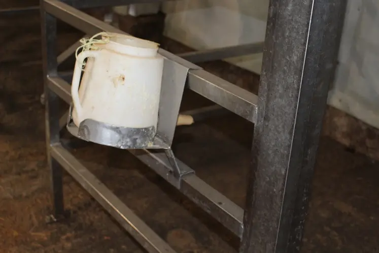 <em class="placeholder">biberon pour veau sous la mère </em>