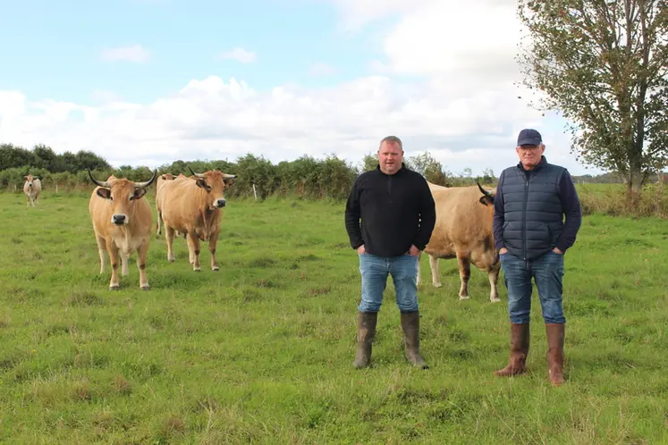 <em class="placeholder">éleveurs prairies troupeau aubrac</em>