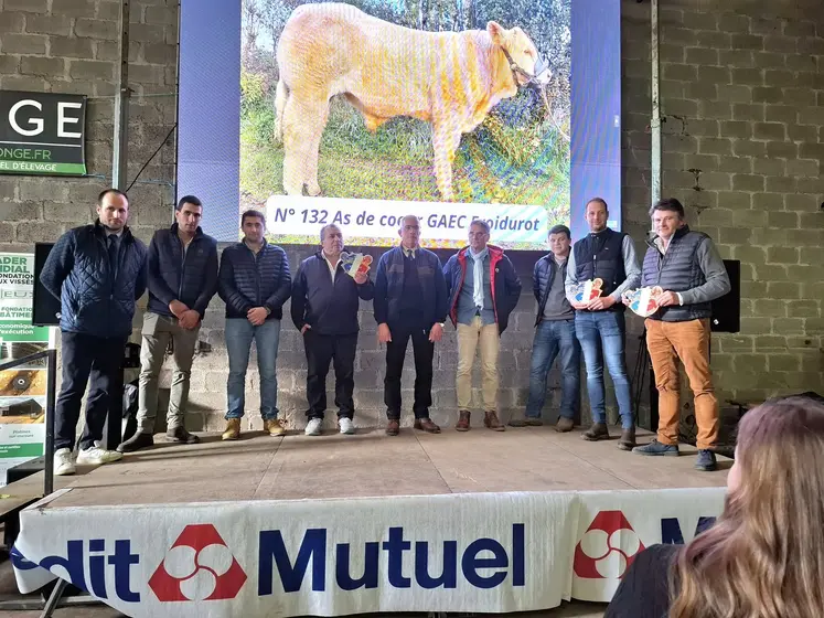 concours charolaise cercy-la-tour 2025