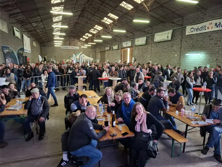 concours charolais cercy-la-tour 2025