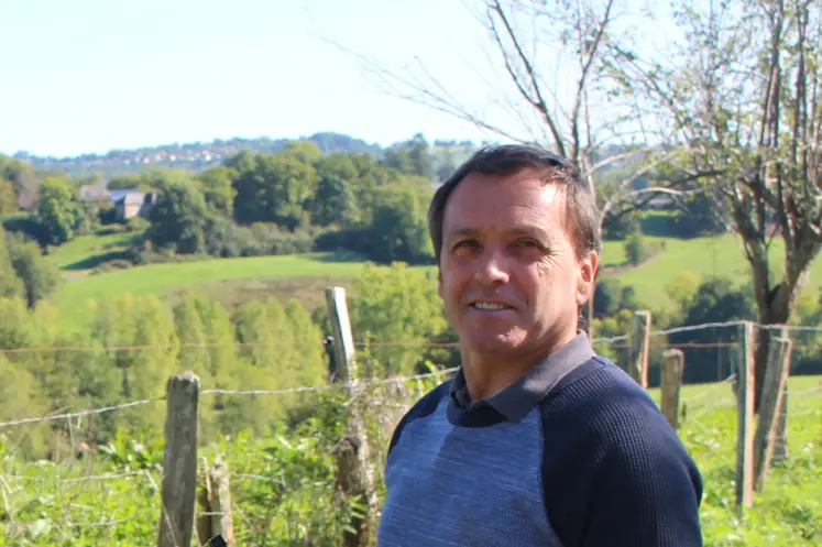 éleveur limousines prairie