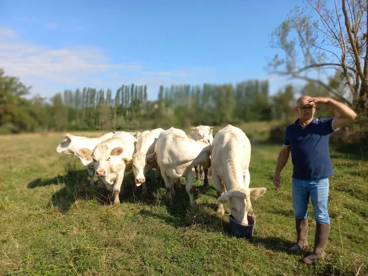 <em class="placeholder">agriculteur et charolaises</em>