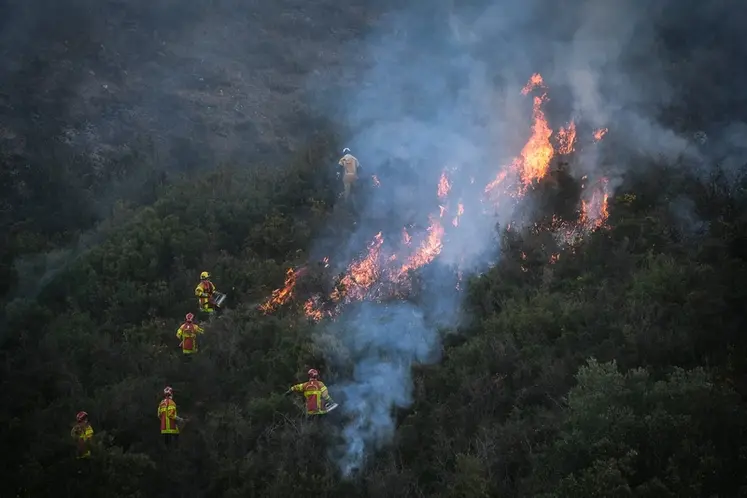<em class="placeholder">incendie pompiers montagne Pyrénées-Orientales</em>