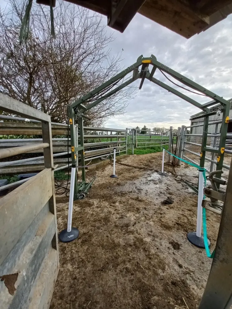 <em class="placeholder">pheno 3D scanner 3D automatisation poids vif et pointage veaux de races allaitantes</em>