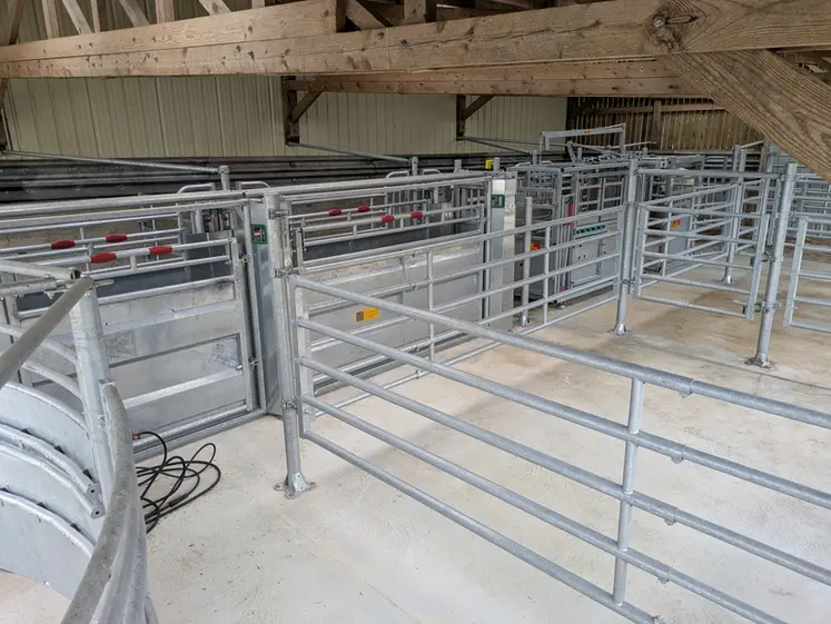 <em class="placeholder">Couloir de contention de 5 m de long</em>