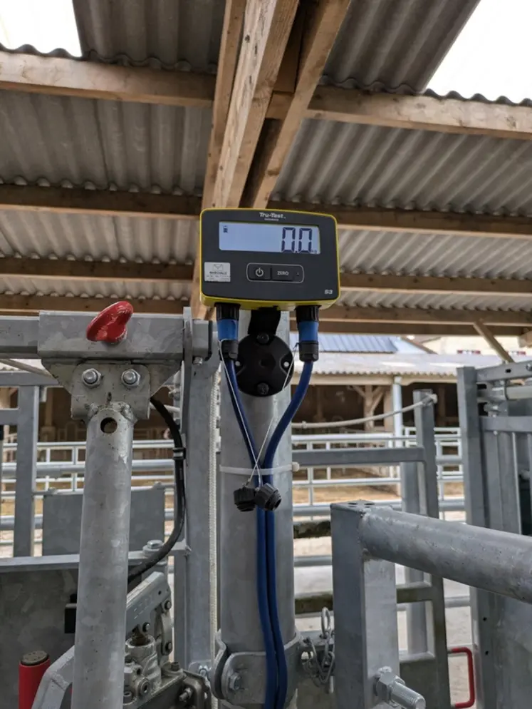 <em class="placeholder">Système de pesée intégré à la cage de contention</em>