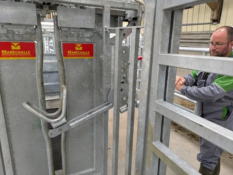 <em class="placeholder">Lève-tête de la cage de contention</em>