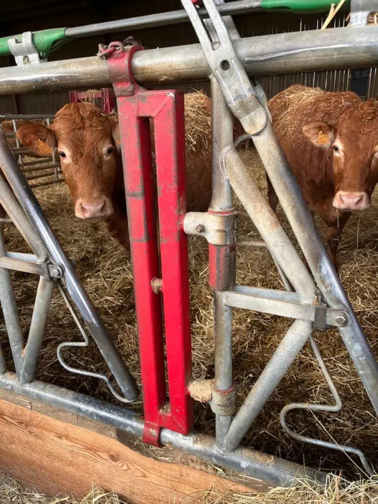 <em class="placeholder">contention cornadis passage d'homme vaches limousines</em>