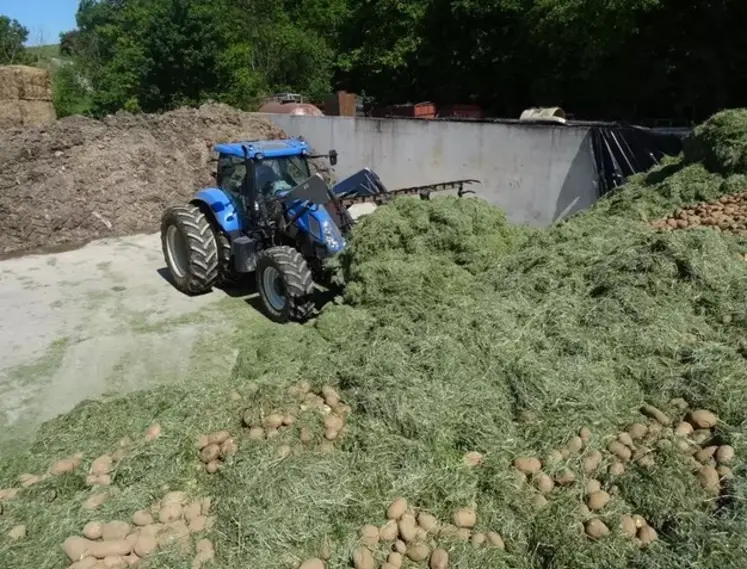 <em class="placeholder">silo ensilage herbe et pommes de terre</em>
