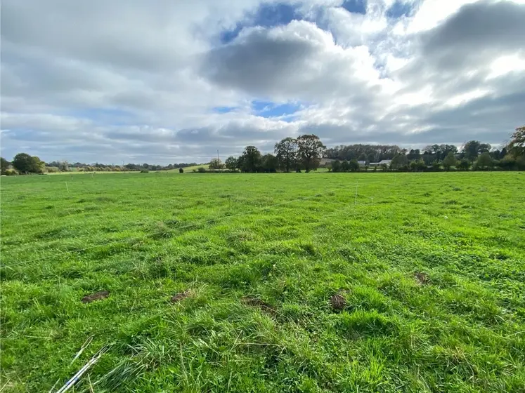 <em class="placeholder">prairie en automne post pâturage AMP. </em>