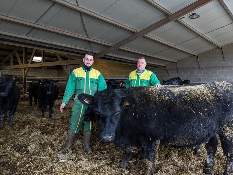 <em class="placeholder">Charly et Christian Marot, éleveurs, avec une génisse Angus</em>