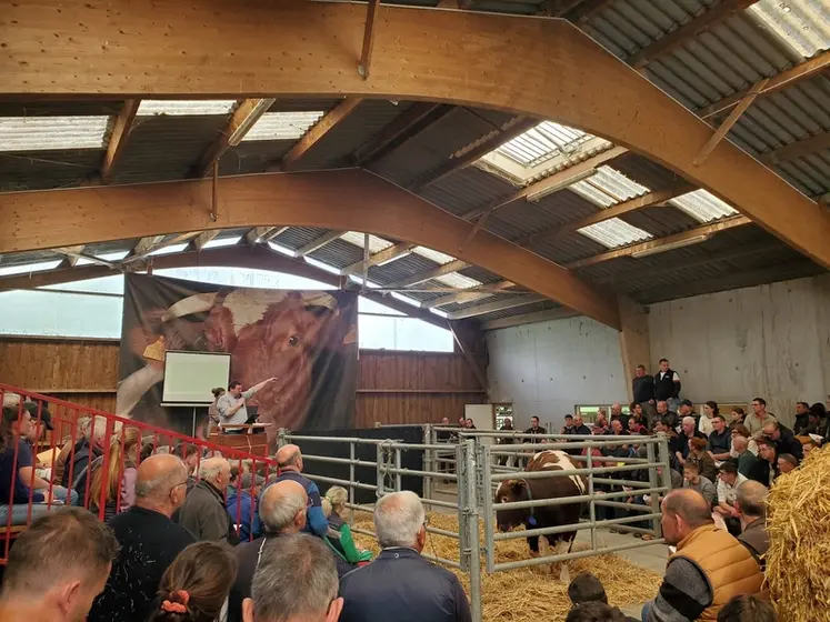 <em class="placeholder">Vente aux enchères Rouge des Prés</em>