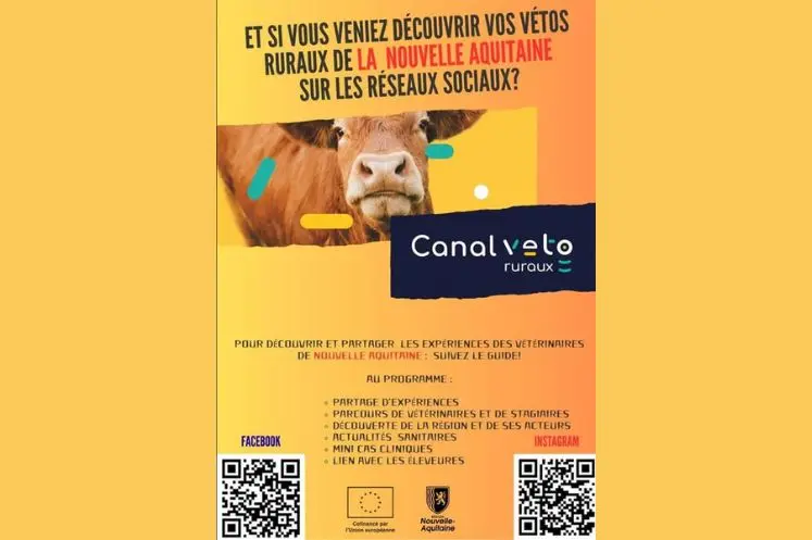 canal véto ruraux communication cabinets vétérinaires en activité rurale de la région Nouvelle-Aquitaine