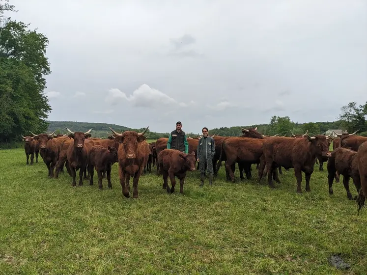 <em class="placeholder">éleveurs et vaches salers au pré</em>