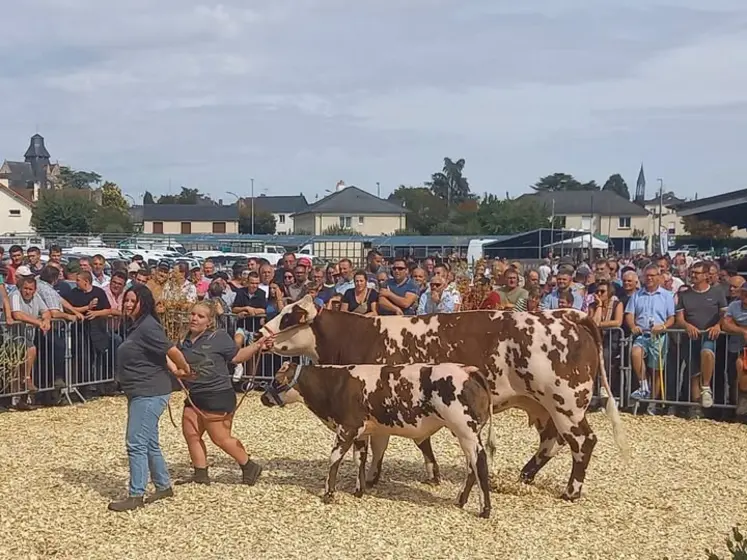 Festival de la viande d'Evron
