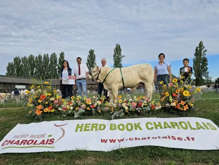 concours national des veaux charolaise 2026