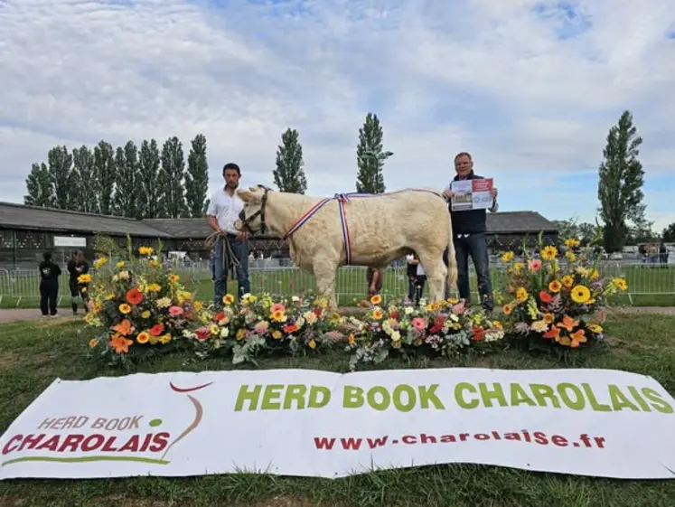 concours national des veaux