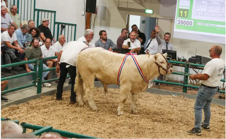 vente nationale aux enchères herd book charolais 2026
