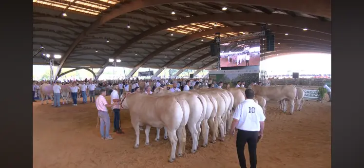 concours national blonde d'aquitaine 2026 agen