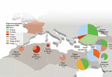 infographie export de bovins vifs sur pays tiers