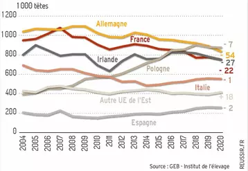 graph effectif jeunes bovins en dans les payd d'europe entre 2004 et 2020