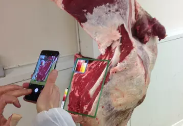 Le projet Meat@ppli consiste à développer une application smartphone pour déterminer la teneur en gras de la viande bovine en temps réel.
