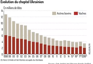 Nette contraction du cheptel bovin ukrainien depuis 25 ans