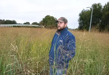 Flavien Fayolle mesure 1,75 mètre et malgré un été caniculaire très déficitaire en eau son switchgrass en seconde année de végétation a réalisé une belle croissance. 