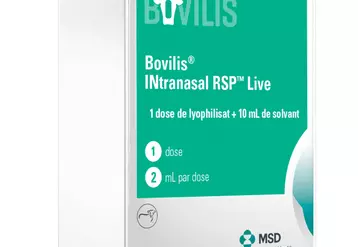 MSD Santé animale : Bovilis Intrasnasal RSP Live utilisable dès le premier jour de vie