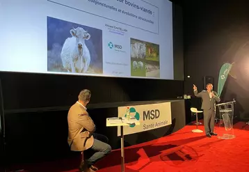 Vincent Chatellier, chercheur à l'Inrae, lors du symposium viande bovine organisé par MSD Santé Animale.