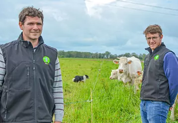 système polyculture élevage troupeau charolais Indre