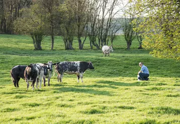 Coopérative « En direct de mon élevage » Belgique