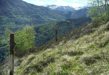 clôture permanente high tensile Hautes-Pyrénées